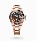 Rolex GMT-Master II "Tiger Iron" (Everose Gold)