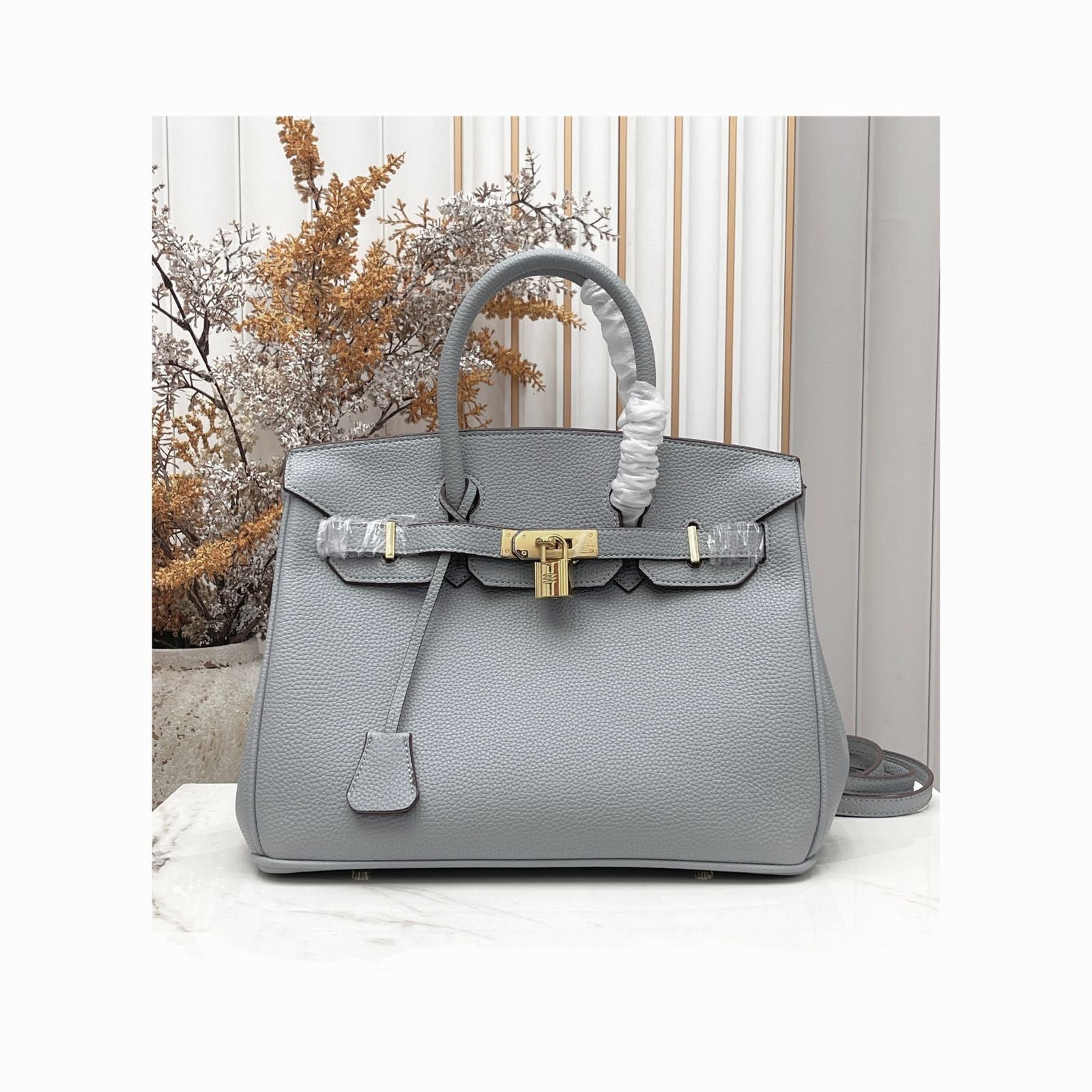 Hermès Birkin 25 Togo (Gris Mouette)